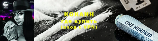сатива Россошь