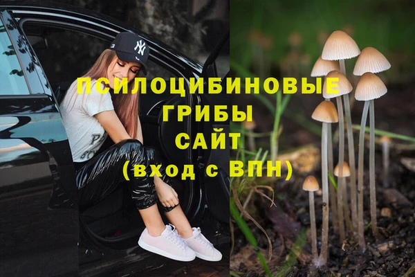 спиды Белокуриха