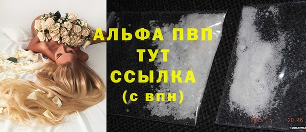 спиды Белокуриха